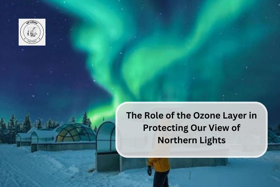 The Role of the Ozone Layer in Protecting Our View of Northern Lights